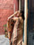 daisy brown chanderi suit set