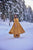 mustard emerald Kurta palazzo set