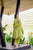 Mouni shibori green suit set