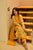 harleen yellow suit set