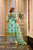 aanavi organza suit set