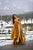 mustard sunshine kurta palazzo set