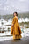 mustard sunshine kurta palazzo set