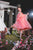 prisha organza dress